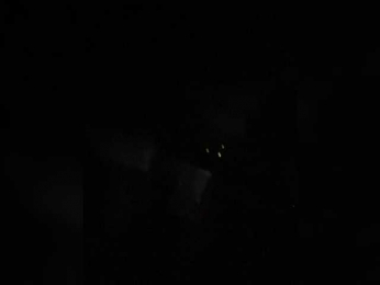 MyyyFacts webcam model stream image