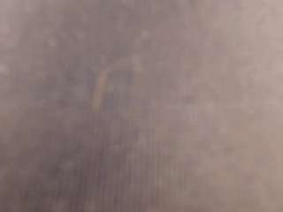 miiyaaco-ds webcam model stream image