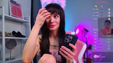 MyLoulaby webcam model stream image