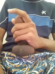 Rowdy33 webcam preview