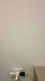 saraa88 webcam model stream image