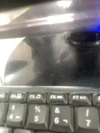 Flacohot6 webcam model stream image