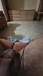 Edymoreni webcam model stream image