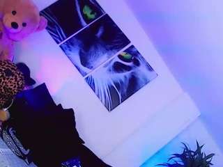 misstresshotsexy webcam model stream image
