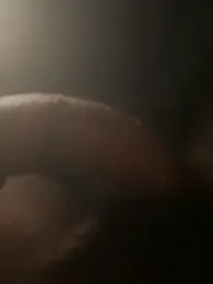 HorneyCowboy154 webcam model stream image