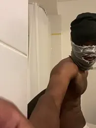 Renoirmonter webcam model stream image