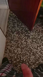 monicaxr3 webcam model stream image