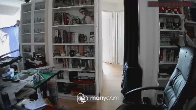 FeunorWGBS webcam model stream image