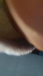 Evafuckass webcam model stream image