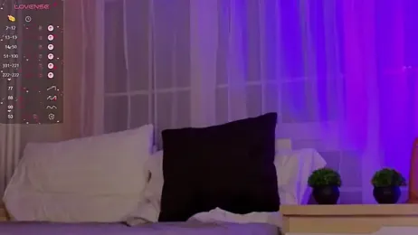 zelda_1 webcam model stream image