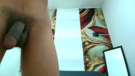 simondwayne webcam model stream image