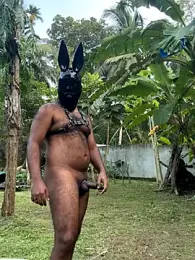 DragonLover_93 webcam stripchat model stream image