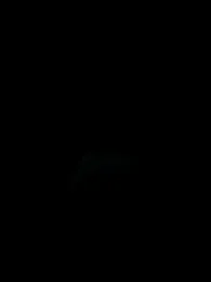 CHIP_BAE webcam model stream image