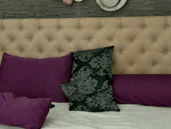 ANALconda webcam model stream image