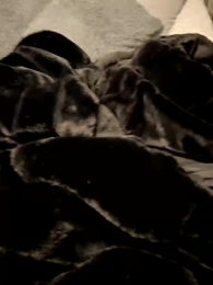 Furdale webcam model stream image