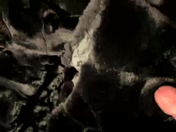 Furdale webcam model stream image