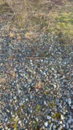 publicexib1 webcam cam4 model stream image