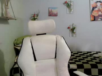 snow_2000 webcam model stream image