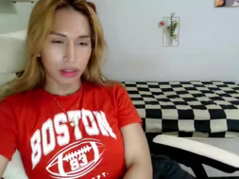 snow_2000 webcam model stream image
