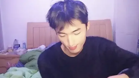 N228 webcam model stream image