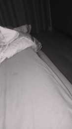 Scalareale66 webcam model stream image