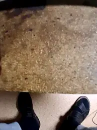 molozeb webcam model stream image