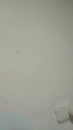 tusmorbosos3 webcam cam4 model stream image