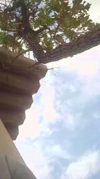 leonardobrasil3 webcam cam4 model stream image