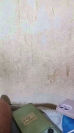 loco893 webcam model stream image