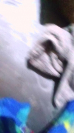 loco893 webcam model stream image