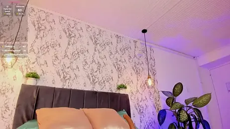 aihnoa_split webcam model stream image