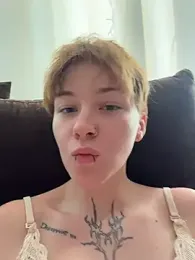 IceMur webcam preview