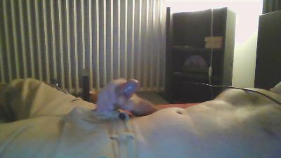 triPPytriCKy webcam model stream image