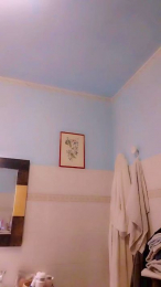 Meastroboris95 webcam model stream image