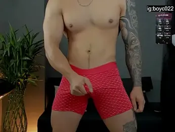 boyc022_ webcam model stream image