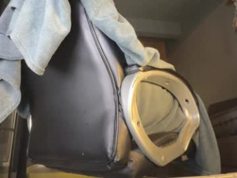 alexanddani webcam model stream image