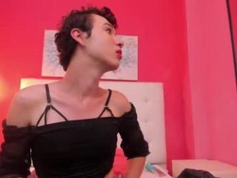 allen_jax webcam model stream image