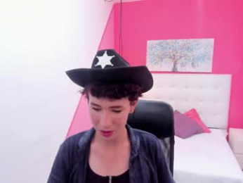 allen_jax webcam model stream image