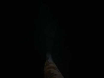 Chikipikin webcam model stream image