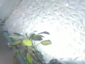 sexyhotbabe18 webcam model stream image