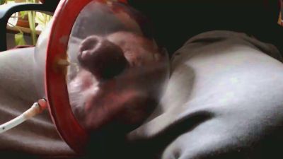 Melon_4_u webcam model stream image