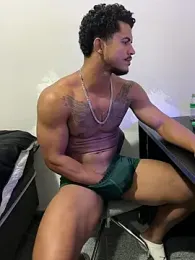 Sanicrt webcam model stream image