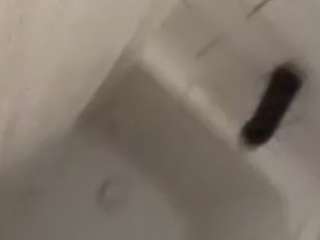 bigcck69 webcam model stream image