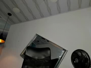 sbastone_muscle webcam model stream image