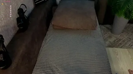 calithra webcam preview