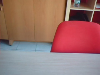 i2Pinguini webcam model stream image