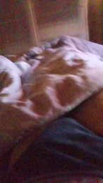 KTrashMilf webcam model stream image