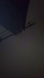 Alex_v22d webcam model stream image