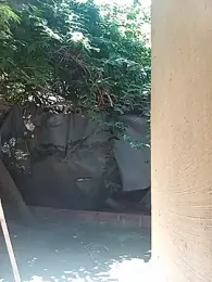 izinjamfee2 webcam stripchat model stream image