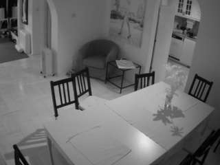 voyeurcam-julmodels-dining webcam model stream image